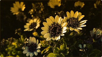 Breaking the Chain: The Hard Truth About Forgiving the Unforgivable